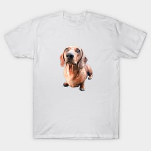 Dachshund Style Up Puppy Dog T-Shirt